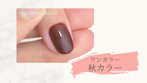 ワンカラー秋カラー