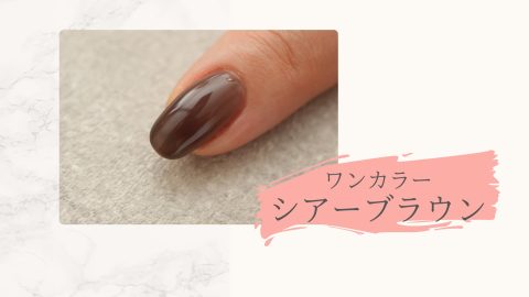 ワンカラーシアブラウン