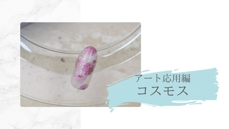 アート応用編　コスモス