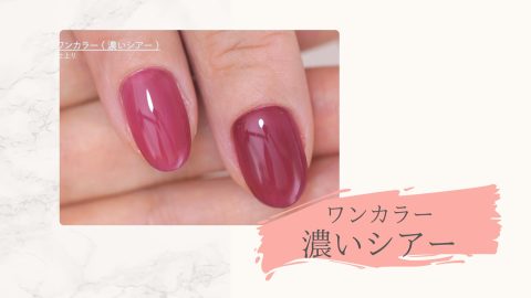 ワンカラー濃いシアー
