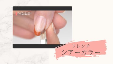 フレンチシアーカラー