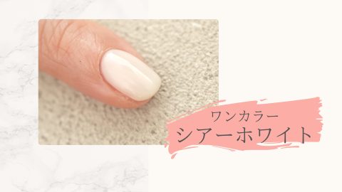 ワンカラーシアーホワイト