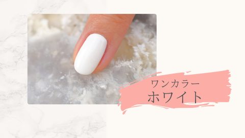 ワンカラーホワイト