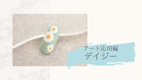 定額デザイン　Daisy